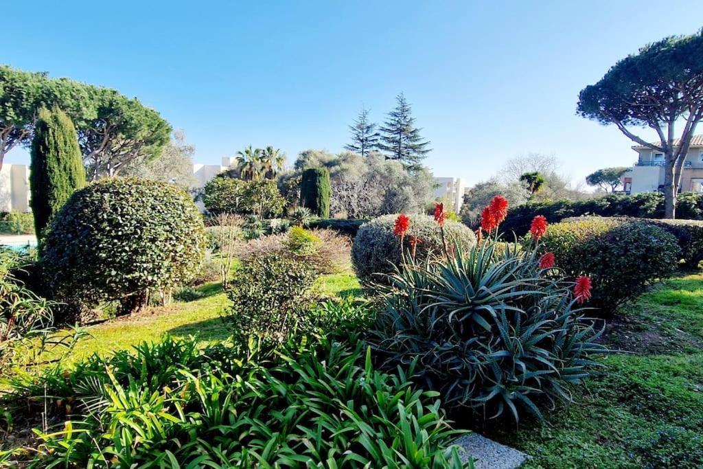Studio Antibes Avec Piscine Εξωτερικό φωτογραφία